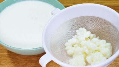 Kefir: o alimento milenar que ganha destaque na restauração da flora intestinal