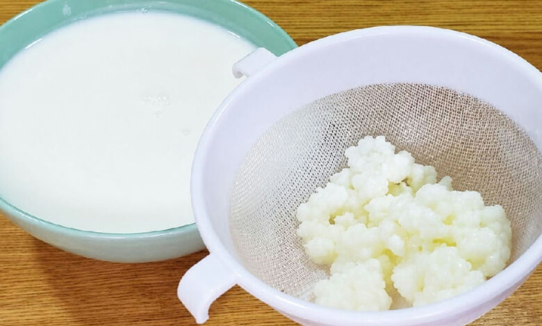 Kefir: o alimento milenar que ganha destaque na restauração da flora intestinal