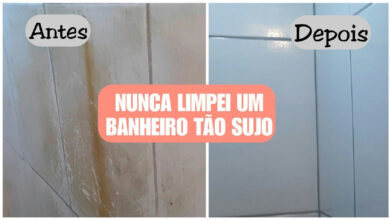 Limpeza de banheiro: como remover manchas de calcário sem esforço excessivo