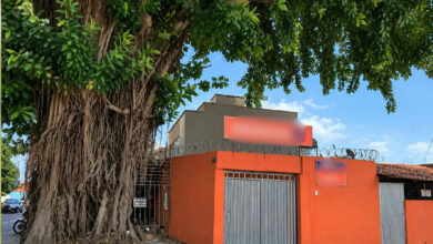 Operação especial remove gameleira que causava danos estruturais em residência de Goiânia