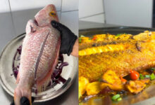 Pargo assado: por que este peixe supera a tilápia e a tainha no forno