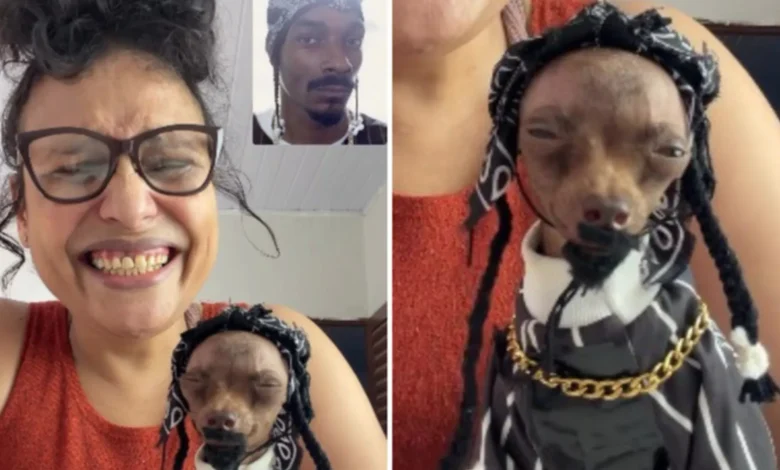 Pinscher goiano viraliza e ganha reconhecimento internacional após se vestir como Snoop Dogg