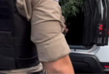 Planta de cannabis de candidato a deputado é apreendida pela PM em protesto na capital mineira