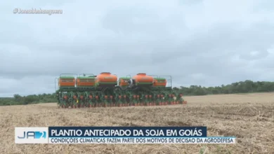 Plantio antecipado da soja em Goiás é autorizado por condições climáticas