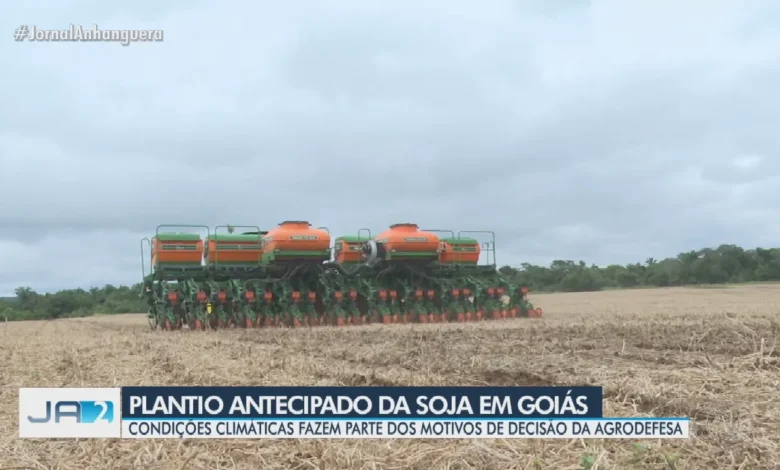 Plantio antecipado da soja em Goiás é autorizado por condições climáticas