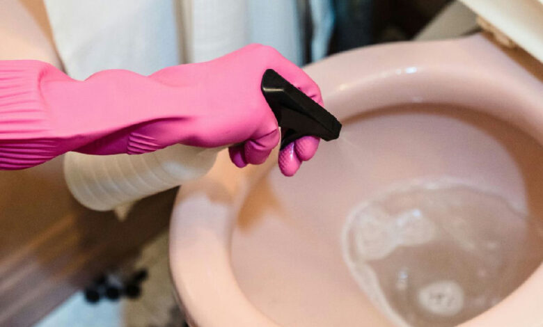 Por que aplicar vinagre na base do vaso sanitário é um hábito recomendado na limpeza