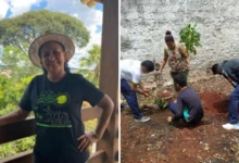 Projeto de minifloresta em escola de Goiânia é finalista de prêmio nacional
