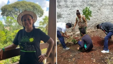 Projeto de minifloresta em escola de Goiânia é finalista de prêmio nacional
