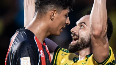 Protagonismo de ex-jogadores do Goiás marca rodada decisiva na Série a