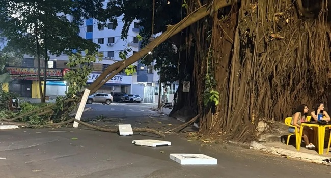 Segurança na Praça da Cirrose é reforçada após queda de galho de gameleira em Goiânia