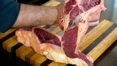 Sete da paleta: o corte bovino que desafia a fama das carnes de segunda