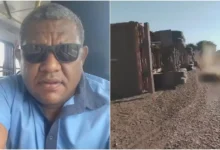 Socorrista relata impotência diante de ataque fatal de abelhas em Goiás