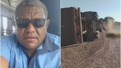 Socorrista relata impotência diante de ataque fatal de abelhas em Goiás