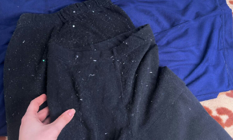 Solução caseira: aprenda a remover plumas de roupas escuras após a lavagem sem gastar muito