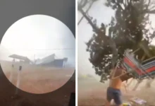Temporal com granizo e ventania causa destruição na zona rural de Jataí