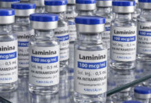Testes clínicos da polilaminina para lesão medular avançam para fase 1