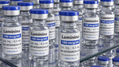 Testes clínicos da polilaminina para lesão medular avançam para fase 1