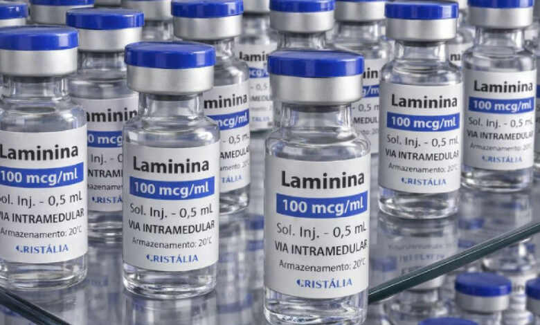 Testes clínicos da polilaminina para lesão medular avançam para fase 1