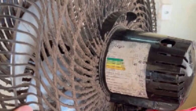 Truques práticos para higienizar o ventilador sem precisar desmontar o aparelho