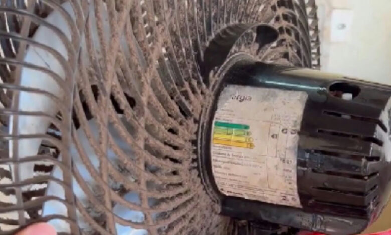 Truques práticos para higienizar o ventilador sem precisar desmontar o aparelho