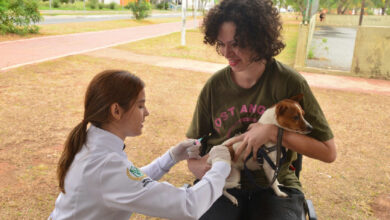 Vacinação antirrábica em Aparecida: Dia D mobiliza 61 pontos gratuitos neste sábado