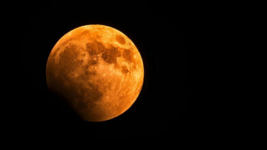 A Lua da Colheita ilumina o céu: primeira cheia da primavera surge maior e avermelhada neste sábado