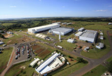 Anápolis assume liderança mundial no insumo do Buscopan após encerramento de fábrica na Alemanha