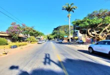 Antiga fazenda de laranjeiras dá origem a bairro planejado há meio século