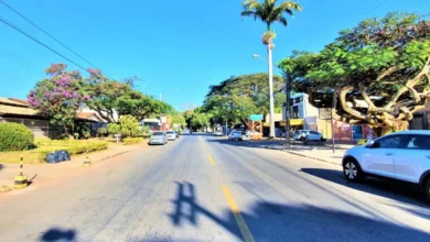 Antiga fazenda de laranjeiras dá origem a bairro planejado há meio século