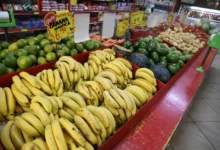 Banana no ponto certo exige atenção à casca e firmeza para evitar desperdício