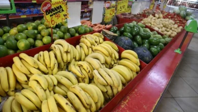 Banana no ponto certo exige atenção à casca e firmeza para evitar desperdício