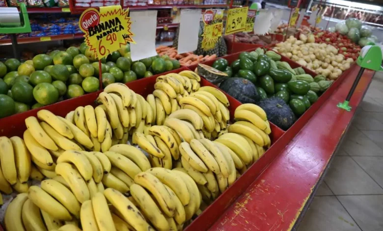 Banana no ponto certo exige atenção à casca e firmeza para evitar desperdício