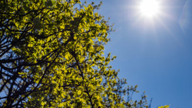 Brasil enfrenta contraste climático com calor extremo e alerta de tempestades