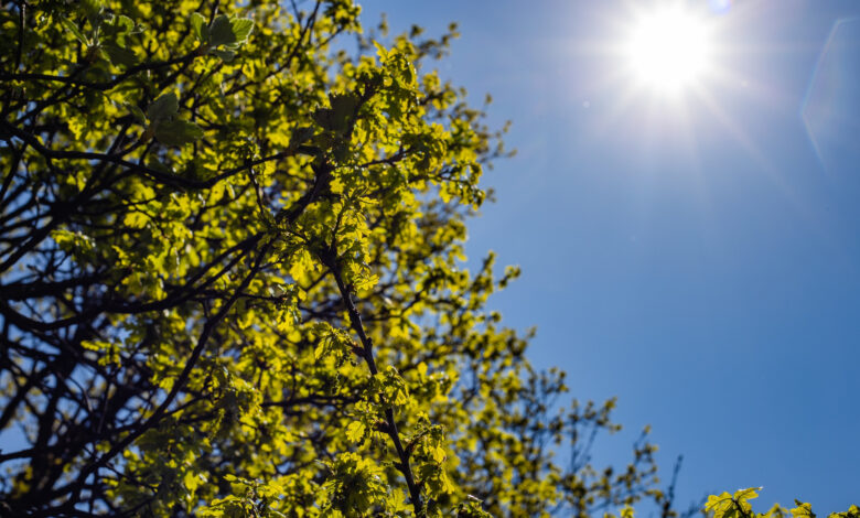Brasil enfrenta contraste climático com calor extremo e alerta de tempestades