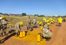 Brigadistas combatem 11 focos de incêndio em parques de Goiânia desde agosto