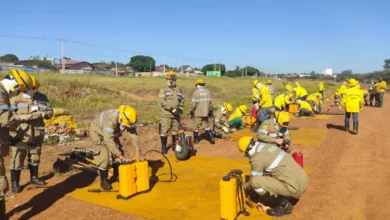 Brigadistas combatem 11 focos de incêndio em parques de Goiânia desde agosto