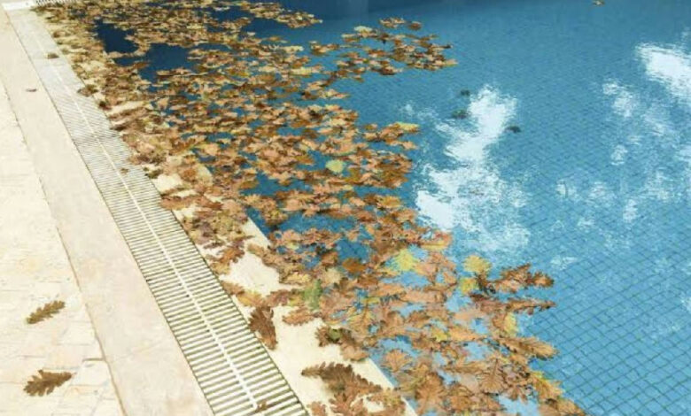 Câmeras de segurança expõem visitas de limpeza de piscina com duração reduzida