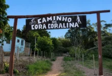 Caminho de Cora Coralina: a única trilha de poesia do mundo em Goiás