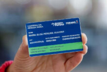 Carteira do Idoso 2026: guia para emissão online e acesso a passagens gratuitas