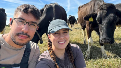 Casal de Anápolis troca rotina em Goiás por trabalho em fazenda na Irlanda