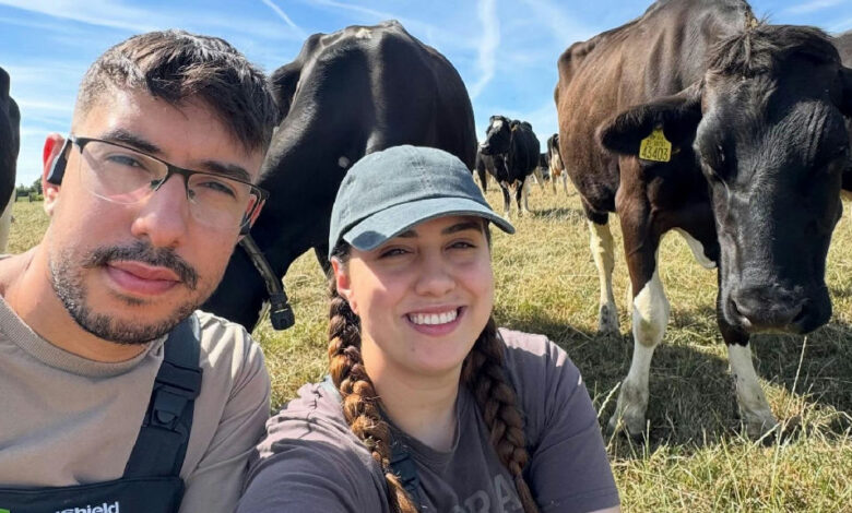 Casal de Anápolis troca rotina em Goiás por trabalho em fazenda na Irlanda