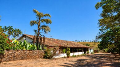 Casarão centenário da Fazenda Babilônia em Goiás revela engenharia de madeira que desafia o tempo