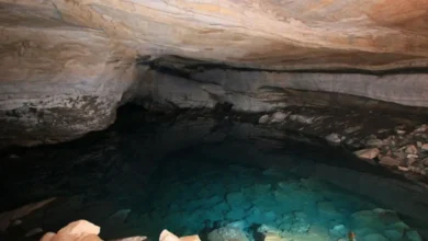 Caverna em Goiás abriga lago subterrâneo de 300 metros considerado raro na América Latina
