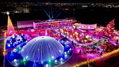 Centro Cultural Oscar Niemeyer recebe dezenas de atrações culturais para o Natal do Bem