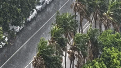 Chuva com ventania surpreende moradores e altera rotina em Goiânia