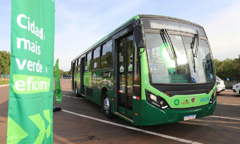 Confira como consultar os horários de ônibus em Goiânia para o retorno ao trabalho nesta terça