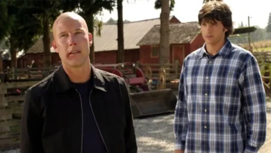 Elenco de Smallville quer continuação animada, mas criadores aguardam aval da DC Studios