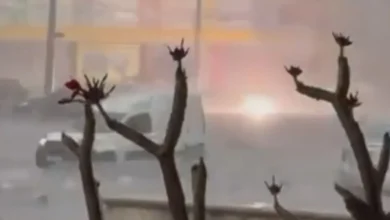 Explosão e clarão assustam moradores durante temporal no Parque Amazônia em Goiânia