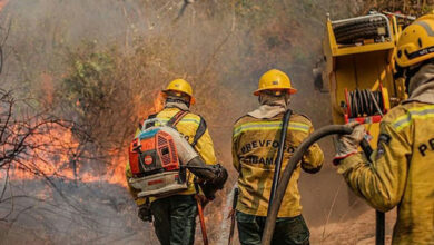 Fiocruz alerta para riscos das queimadas à saúde de comunidades indígenas no Amazonas