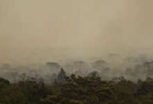 Força Nacional do SUS instala base no Amazonas para atendimento após incêndios